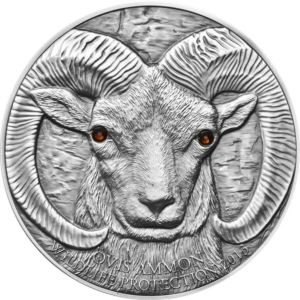 1 oz Mongolia Argali 500 Togrog | 2013 | stříbrná sběratelská mince 999